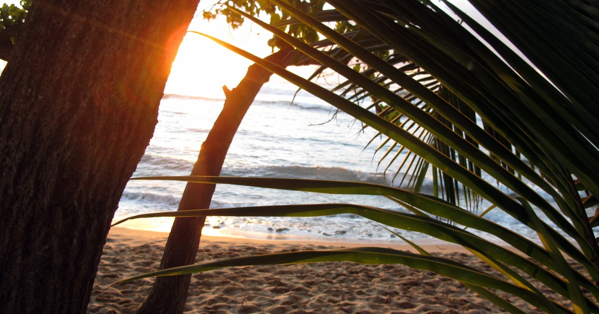 Like a Local Puerto Rico | Authentic Puerto Rico Experiences & Reservations